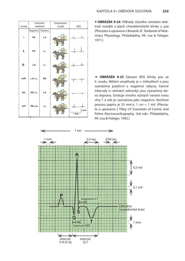 Fyziologie a funkční anatomie domácích zvířat - Image 2