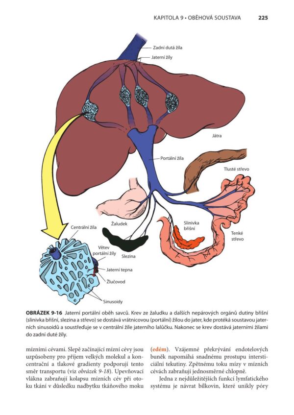 Fyziologie a funkční anatomie domácích zvířat - Image 3