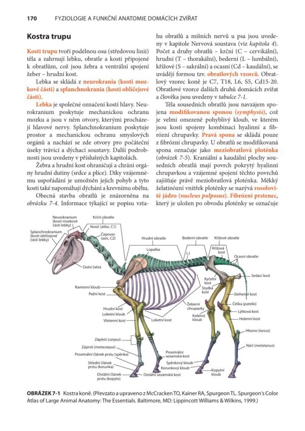Fyziologie a funkční anatomie domácích zvířat - Image 4