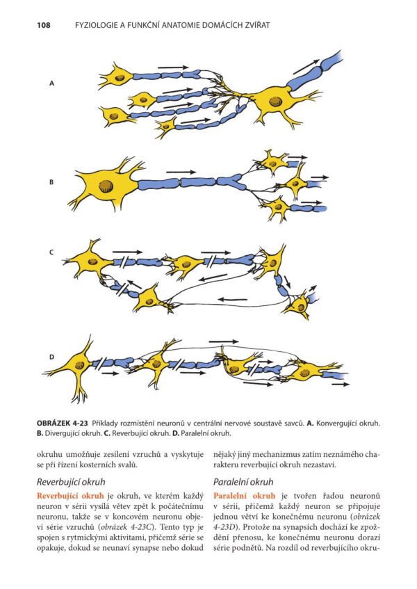 Fyziologie a funkční anatomie domácích zvířat - Image 8