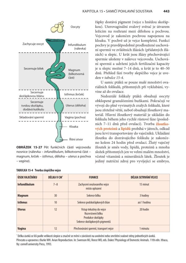 Fyziologie a funkční anatomie domácích zvířat - Image 13