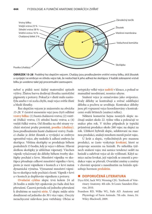 Fyziologie a funkční anatomie domácích zvířat - Image 14